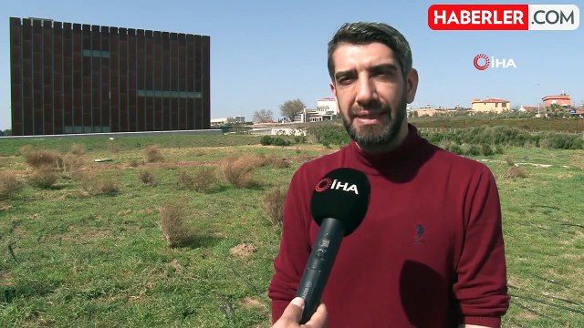 Tenedos Antik Kenti Kazılarında Çocuk Mezarlığı Keşfedildi