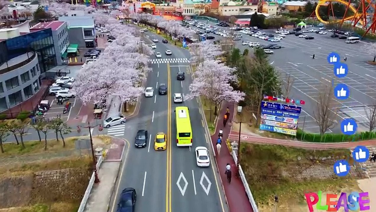 Your travel guide in Japan