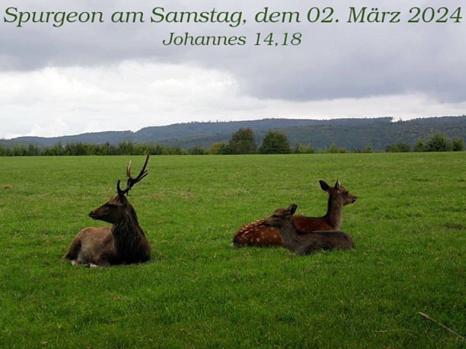 Spurgeon am Samstag, dem 02. März 2024