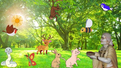 रामायण के बाद शबरी का क्या हुआ ? शबरी का सबसे बड़ा रहस्य जिसे 99% हिन्दू नहीं जानते