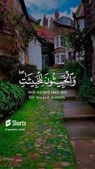 أحمد خضر• تلاوة مريحة لما تيسر من سورة النور