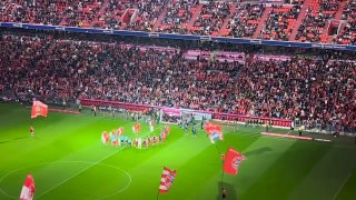 Freiburg vs Bayern Munich 2-2 - All Goals & Highlights - 2024