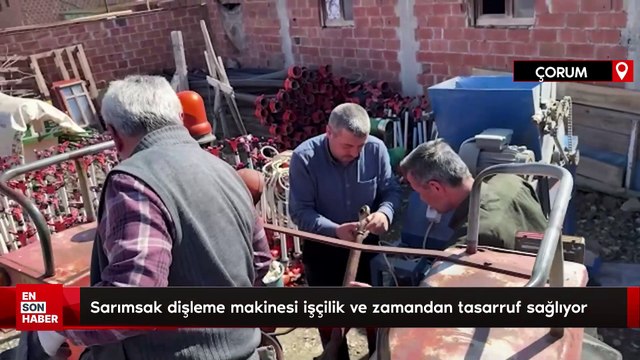 Çorum'da sarımsak dişleme makinesi işçilik ve zamandan tasarruf sağlıyor