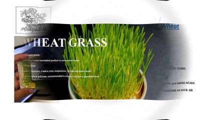 Eco-Friendly Food Products