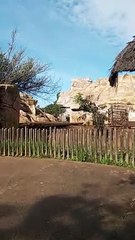 Safari Urbain à Rabat : Zoo Edition