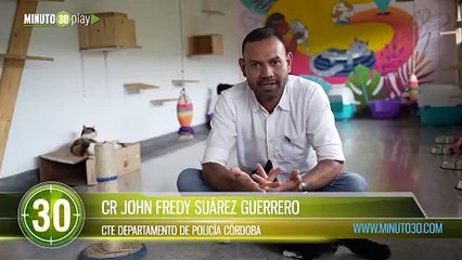 11.200 animales atendidos en 2024 en el Centro de Bienestar Animal de Cali