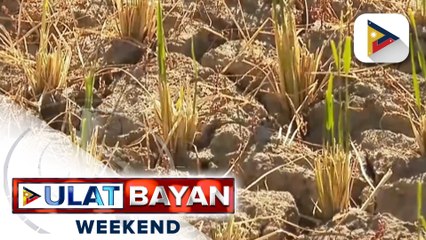 Halaga ng pinsala ng El Nino sa ilang bayan sa Oriental Mindoro, patuloy na tumataas