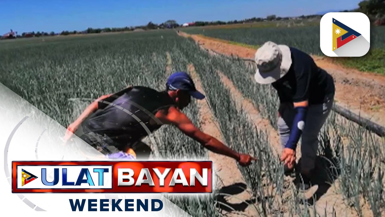 BPI, nag-ikot sa mga lugar na nakaranas ng peste sa sibuyas
