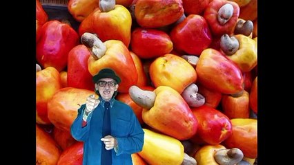 HOROSCOPO DO PIMPÃO Nº 8 - 1ª PARTE - SÉRIE VELHO PALHAÇO.