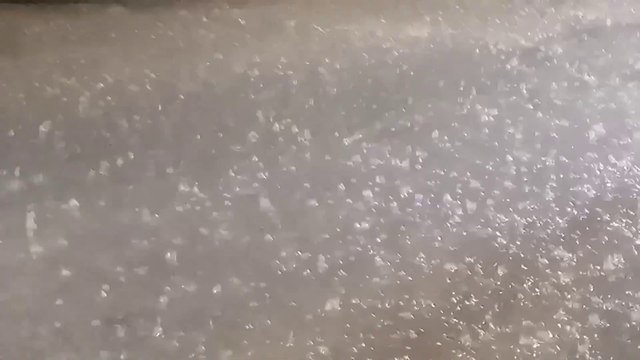 Raining #rainy day#weather #weather today