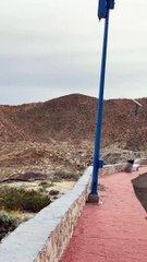 Avistamiento el 28 de febrero en Baja California, México.