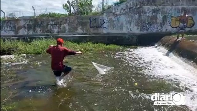 Após chuvas nos dois primeiros meses de 2024, três açudes do Sertão estão sangrando, aponta AESA