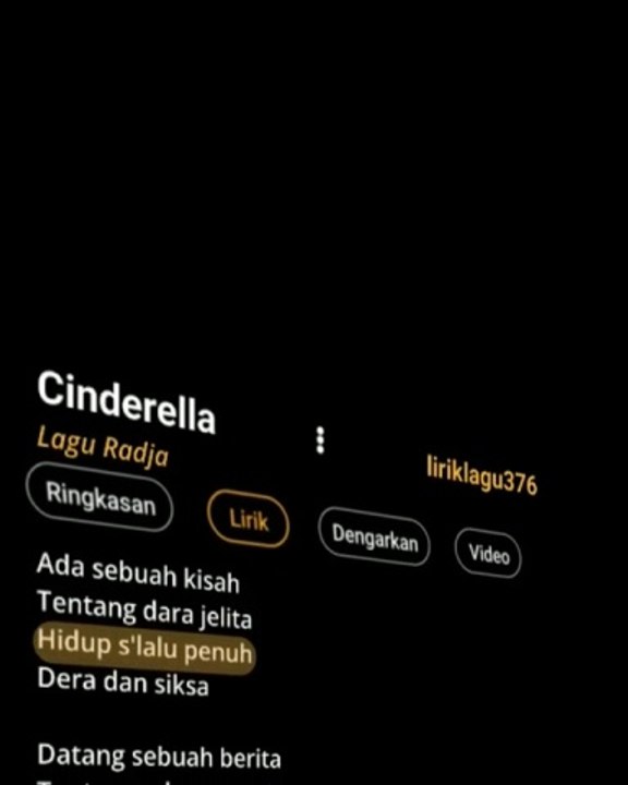 videoplayback