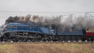Sir Nigel Gresley steam locomotive racing through the English countryside