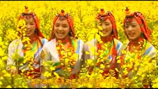 Tibetan Folk Song  Video 2