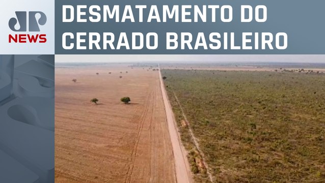 Ações sustentáveis podem gerar até US$ 72 bilhões ao ano