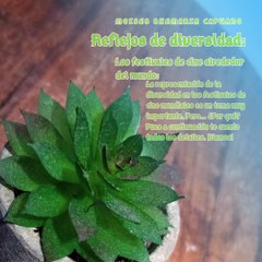 Moises Shemaria Capuano| Reflejos de diversidad (parte 1)