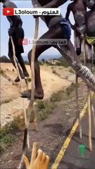 تعلم طريقة غير تقليدية للمشي