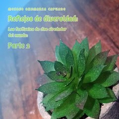 Moises Shemaria Capuano| Y wow, en todo el mundo hay festivales de cine (parte 2)