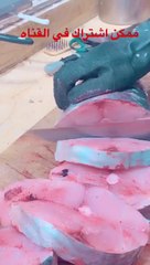 Cutting kingfish into rings in a professional way 2024