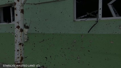 STARILYS WASTED LAND