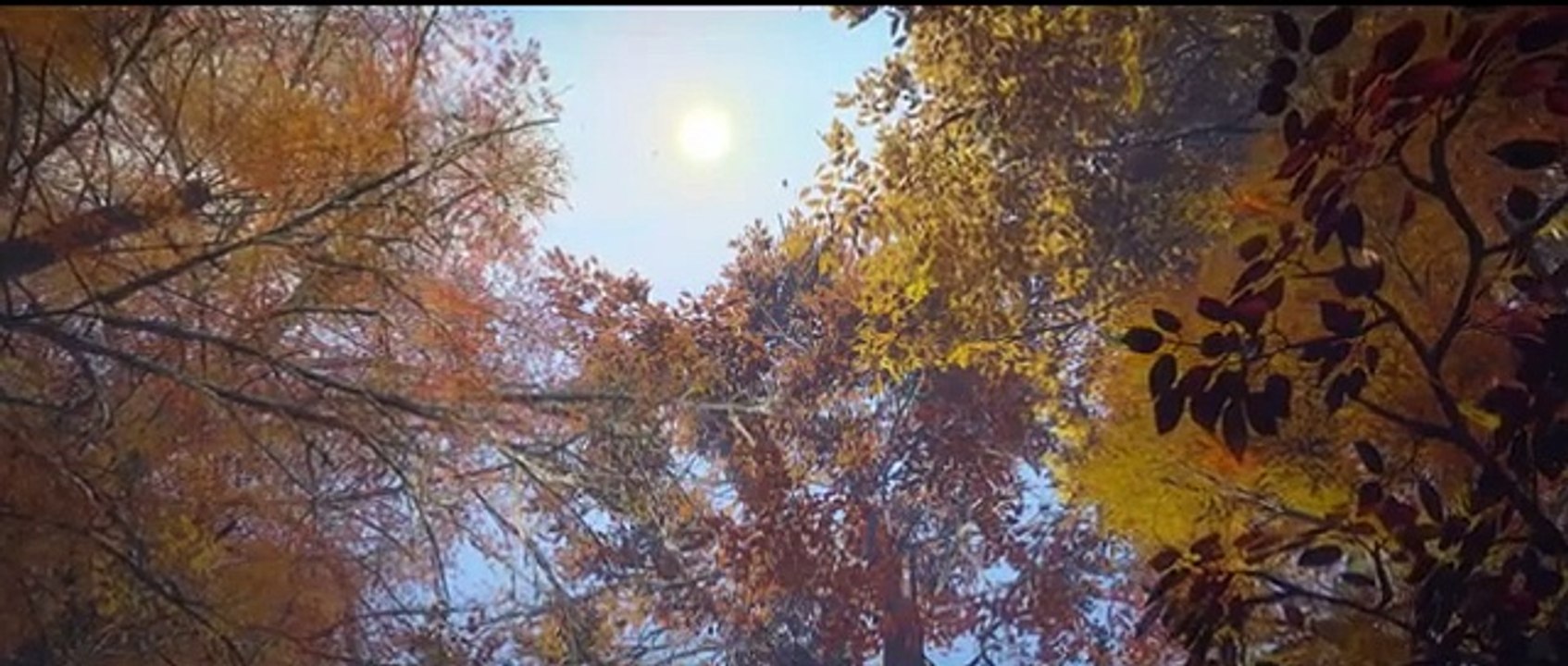 EP78 full version! Xiao Yan mobilized his connections and summoned Su Qian, the elder of Canaan College, to seize the saliva of the Bodhisattva! 【Battle Through the Heavens】