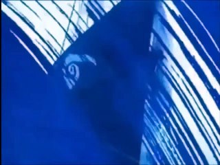 Eye of the Storm | show | 1993 | Official Clip