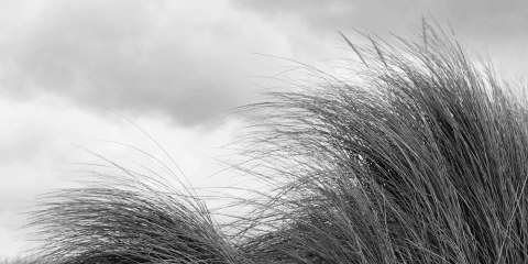 Compass (2024) Official Trailer – A Heartwarming Dutch Friendship Drama 🌊