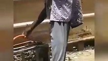 Cat tries to washbash the bird seller