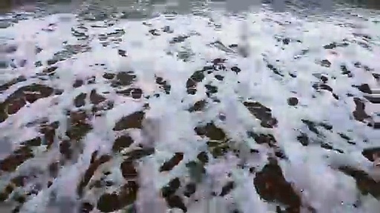wave