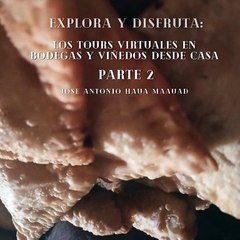 Jose Antonio Haua Maauad- Sumérgete en la experiencia (parte 2)