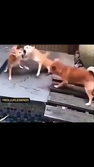 Third person took the chance