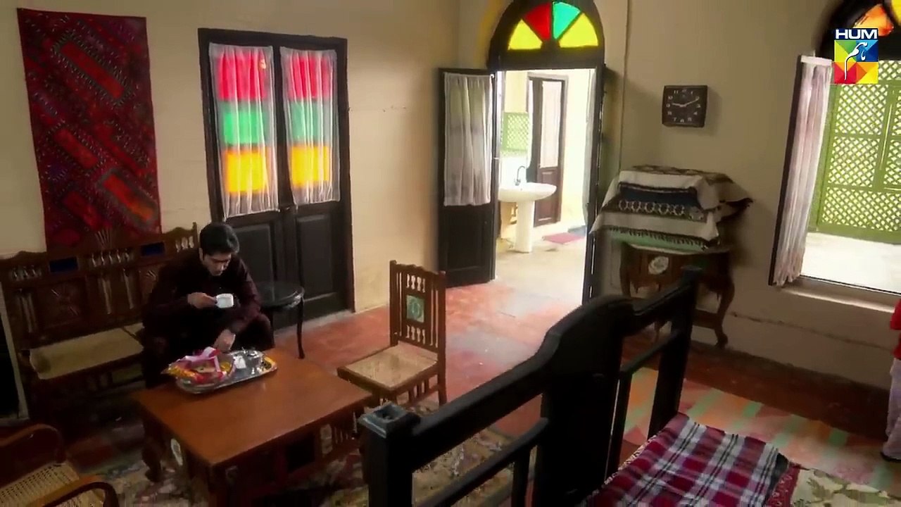 Choti Si Zindagi Episode #21 HUM TV Drama