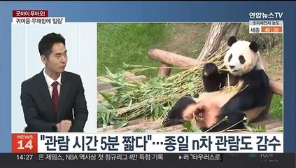 [뉴스초점] "잘가, 푸바오"…판다 신드롬이 남긴 것