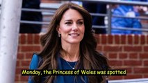Kate Middleton's 'cloak-and-dagger' behavior surrounding hospitalization is fueling rumors: royal expert