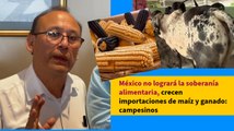 México no logrará la soberanía alimentaria, crecen importaciones de maíz y ganado: campesinos