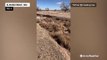 River of tumbleweeds captured in New Mexico