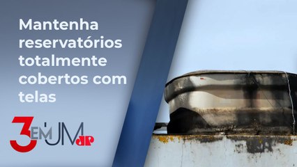 Casos de dengue aumentam ainda mais no verão; entenda