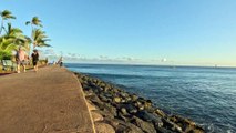 Ala Moana Beach Park.