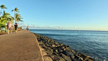 Ala Moana Beach Park.