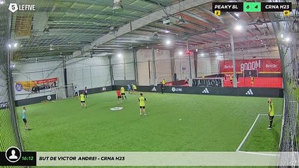 But de victor  andrei - CRNA H23