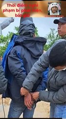 Thừa Thiên  Huế  Trộm 12 con bò, dắt hơn 10 km để tiêu thụ