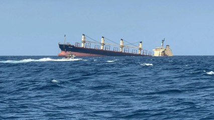 Naufrage en mer Rouge du cargo Rubymar, chargé de 21 000 tonnes d’engrais