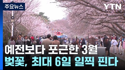 벚꽃, 예년보다 최대 6일 일찍 핀다...서울 4월 2일 / YTN