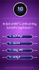 General Knowledge Questions in Telugu