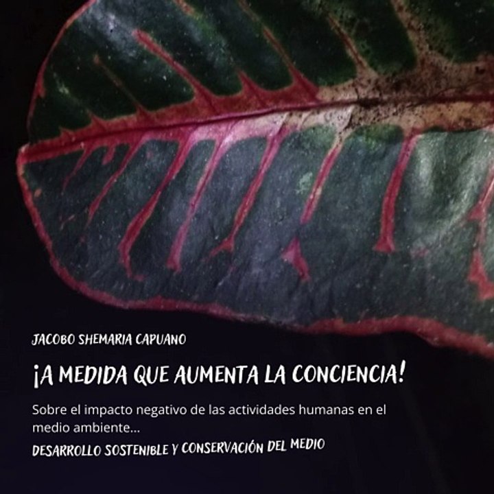 -Jacobo Shemaria Capuano- Desarrollo sostenible y conservación del medio ambiente: (Parte 1) (Creado por @JacoboShemariaCapuano)