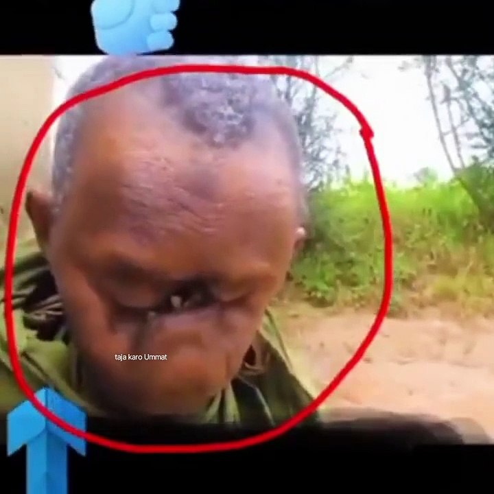 अल्लाह का कुदरत__ #ytshorts #allah #quran   islamic video training #shorts #youtubeshorts