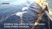 Επίθεση των Χούθι σε ιταλικό πολεμικό πλοίο στην Ερυθρά Θάλασσα