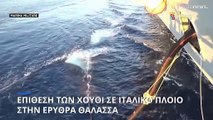 Επίθεση των Χούθι σε ιταλικό πολεμικό πλοίο στην Ερυθρά Θάλασσα