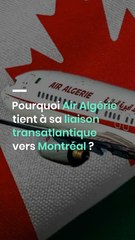 Pourquoi Air Algérie tient à sa liaison transatlantique vers Montréal ?